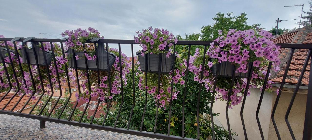 Apartment Vladan Kumanovo Exterior foto